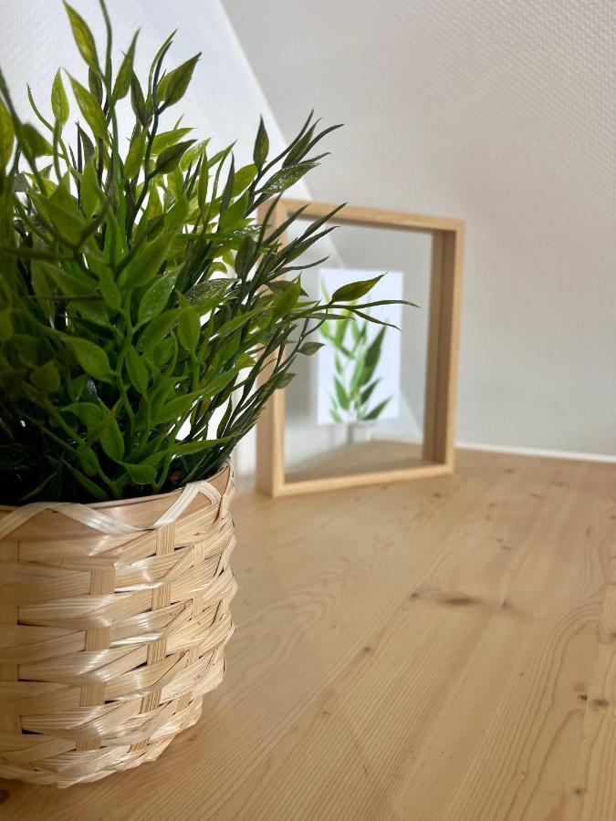 Appartement Le Cocon Urbain Rennes
